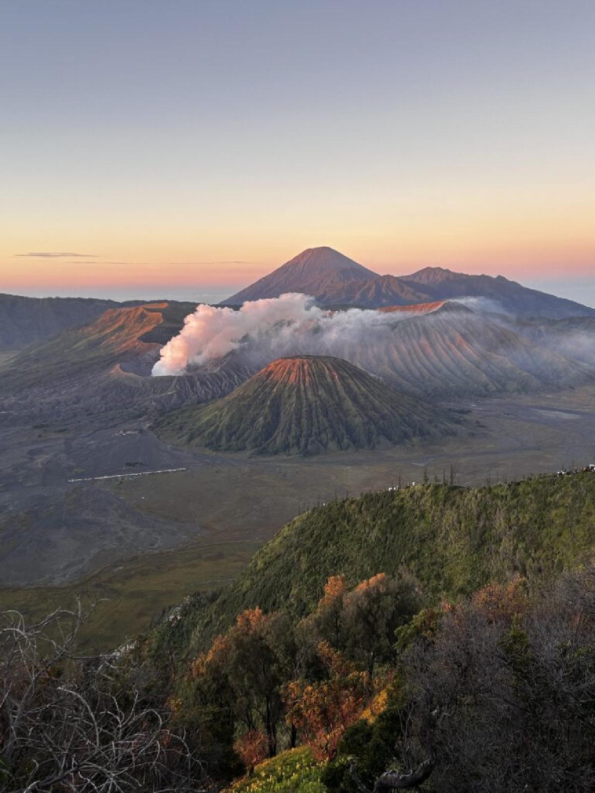 Bali & Java