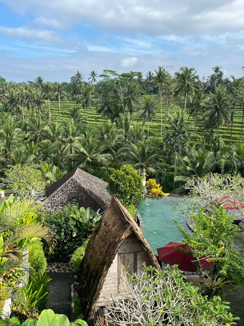 Rizières de Bali